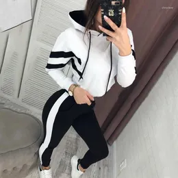 Women's Two Piece Pants Women Autumn 2023 Casual Tracksuit 2 Pieces Set Striped Patchwork Hooded Pullovers And Skinny Suits Fiteness