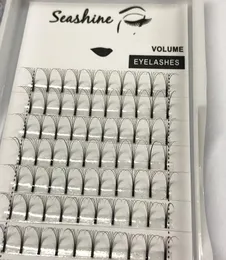 Seashine Beauty 6D High Quality Pre Made Fans Volume Eyelash Extensions Individual Eyelashes 1Piece C D Curl 815mm Drop 1821665