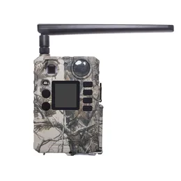 Hunting Cameras Boly BG310M 4G Color LCD Invisible IR Night Vision Economic Tree Cam Forest Game Scout Wireless Trail 230606