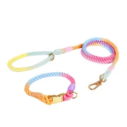 Obedience 1.2M Dog Leash and Collar Set Nylon Multifunction Colorful Cotton Rope for Small Medium Large Pet Supplies Accessories