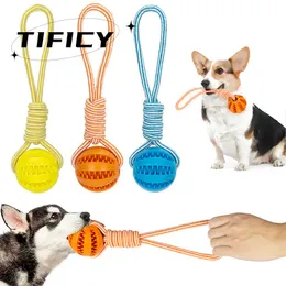 Dog Toys Interaktiv Hemp Rope Gummi Läckande bollar behandlar bollar för husdjurstädning Små hundar som tuggar bettbeständiga leksaker