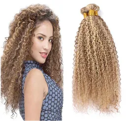 Light Brown with Blonde Piano Color Curly Hair Bundles Mixed Highlights Color 8 613 Virgin Brazilian Kinkys Curly Human Hair Weave8089112