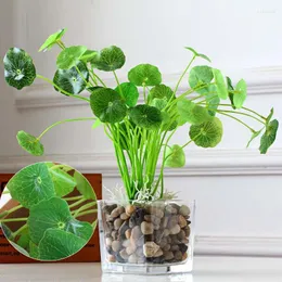 Flores decorativas Ramos de Damasco Verde Folha de Lótus Imitação de Samambaia Plástico Folhas de Grama Artificial Planta Para Casa Decoração de Casamento