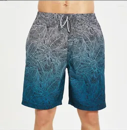 Men's Shorts European And American 5/5 Quick Drying Beach Surfing Gradient Pants Men's Swimming Trunks