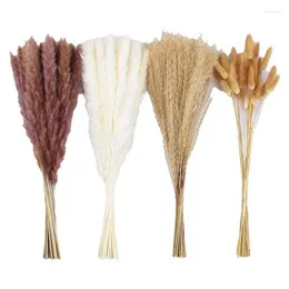 Декоративные цветы 105pcs pampas grass home decor - цветочное расположение натуральный высушенный цветок для свадебной вечеринки для детского душа гостиная