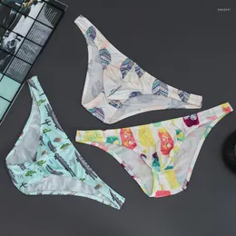 Underpants Mens Briefs Sexy Low Waist Print Men Underwear