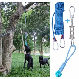 Spring Pole Dog Rope Toys Dog Outdoor Bungee Hanging Toy Muscle Builder Interactive Tether Tug Toy For Pitbull Medium Large Dogs