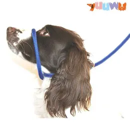 Dog Collars Leashes Anti Pull Dogs Leash Halter Head Collar Fits Super Soft Braided Nylon Harness Comfortable Kind Supple Secure Pet Accessories Z0609