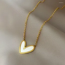 Pendant Necklaces 2023 Classic Shell Heart Gold Color Stainless Steel Lovely Girls' Jewelry Accessories Women's Fashion Necklace