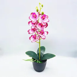 Dekoratif Çiçekler 1 Set Orkide Renkli Mikro Peyzaj Dekorasyon Sahte Phalaenopsis Bonsai Simülasyon Düğün Süsleri