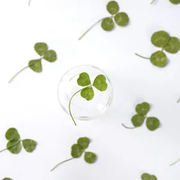 装飾的な花が押された乾燥したトリフォリウムrepens le葉の花の草本宝石用ポストカードブックマークフレーム電話ケースフェイスメイクランプ