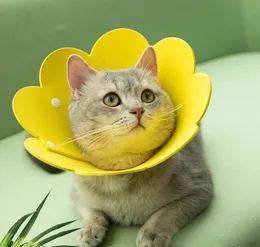 Ny söt blommakrone Filt Pet Collar Cat Slim Head Cover Postoperativ återhämtning Anti Lick Skam Justerbar krage