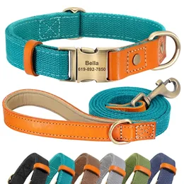 Collari per cani Guinzagli Collare per cani personalizzato Set di guinzagli Collana per cani in pelle di nylon Collari per targhette identificative per animali domestici personalizzati 5 piedi Corda di piombo per cani Carlino 230612