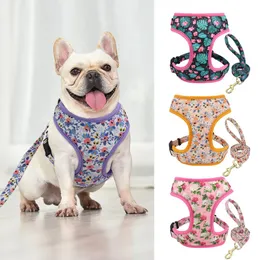 Arnês para cães com trela e cinto de malha de nylon para cães, colete para animais de estimação, corda de chumbo para cães pequenos, médios e grandes, buldogue francês pug xsl