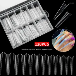 False unhas 120 PCs/Set Fake Mold for Extension With Scale 2023 Moda Multi Size Formulário Ferramentas Diy Art Decoração