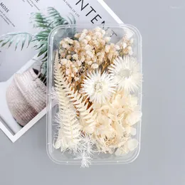 Decorative Flowers 1Box White Dried For DIY Candle Making Epoxy Resin Mold Jewelry Accessories Wedding Bouquet Home Decoration