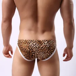 Underbyxor leopard tryck elefant näsa män bror roligt låg midja andningsbar penispåse sexiga underkläder