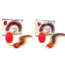 ElectricRC Animals Rc Remote Control Centipede Ingannevole giocattolo creativo Modello animale ad alta simulazione Puzzle elettronico Gatto interattivo Divertimento per bambini 230613