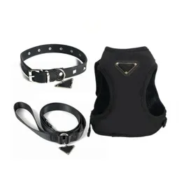 الياقات الكلاب Leaseshes Stepin Designer Harness ووضع العلامة التجارية Leather Pet Leash مع حقيبة يد ناعمة Bandana Necktie ل Med Dho9s الصغيرة