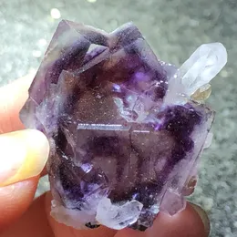 장식 인형 21.1TURATURAL PURPLE FLUORITE 및 CRYSTAL MINERAL STONE 홈 장식 고리 정맥 치유 지질 교육 시편