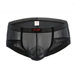 Mutande Intimo da uomo Slip Pantaloncini Mutandine a rete trasparente Traspirante U Convex Pouch A vita bassa Cueca Ropa Interior Hombre