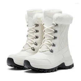 Botas inverno cano alto algodão senhora plus veludo grosso quente neve moda ao ar livre confortável sapatos à prova de frio