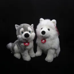 Plyschdockor livtro samoyed fyllda leksaker siberian husky plysch leksaker simulering hund valp plysch djur leksak gåvor till barn 230614