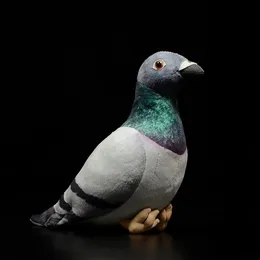 Plyschdockor 19 cm hög realistisk grå kulle plysch leksaker mjuka livliga duvor fåglar fyllda djur leksaksgåvor för barn 230614