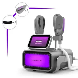 Attrezzatura sottile portatile Emslim Hi-Emt Shaping Machine Stimolatore muscolare Ems Apparecchiatura di bellezza brucia grassi elettromagnetica Logo gratuito