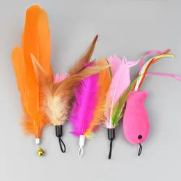 1Pcs Cat Toy Feather Replacement Head Bells Feather Cambia liberamente combinazioni Multi-type per Cat Stick Asta telescopica Strumenti fai da te