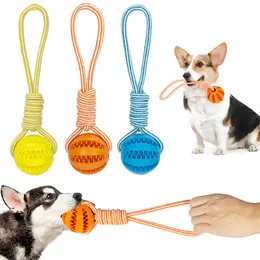 Brinquedos interativos para cães Bolas com vazamento de borracha Corda de cânhamo Brinquedos resistentes a mordidas para cães pequenos Brinquedo molar para limpeza de dentes Acessórios para animais de estimação