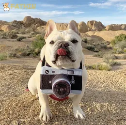 Fathin ins hot dog zabawki aparat fotografa