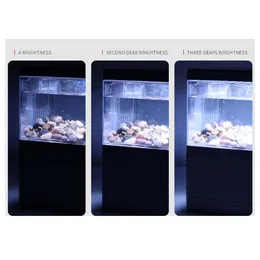 خزان خزان سطح المكتب مصغرة أسماك مع مرشح LED LED Aquarium Aquarium Tropical Wathwater Pad Pad Plat Basket