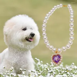 Collari per cani Collana con ciondoli per animali domestici di lunga durata Ciondolo di lusso Regolabile Cat Small Puppy Choker Jewelry Dress Up