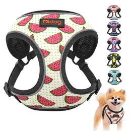 Hundhalsar Leases Nylon Reflective Cat Harness Vest Printed French Bulldog Puppy Small Medium Dogs Cats For Chihuahua Walking 230619