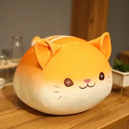 Stuffed Plush Animals Creative imitation of bread cat Stuffed toy Cute round cat pillow doll Soft and smooth doll Birthday gift Good elasticity 230619