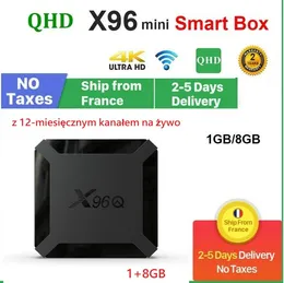 boitier android tv box x96q abonnement 12 mois Abbonamento 12 mesi Italia QHD e media player X96Q 1+8gb