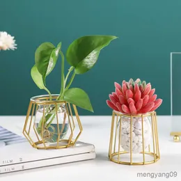 Плантаторы горшки Nordic Simple Golden Glass Vase Hydroponic Plant Flower Pot Vase Geometric Glass Test Tube Tub