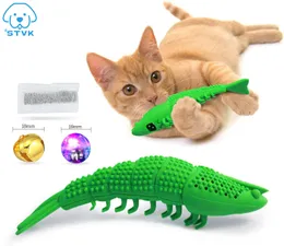 1st Cat Toothbrush Toy Drable Hard Rubber Cat Dental Care Cat Interactive Tandborste tugga Toy Cat Treat Toy Pet Supplies