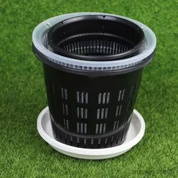 Çiziciler Potlar 11/14cm örgü saksı Net açık plastik orkide ekici flowerpots tepsisi kök nefes alabilir büyüme konteyner yuvaları duvar asılı fincan r230620