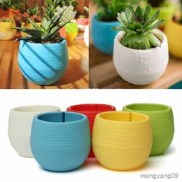 Planters POTS 1st Colorful Plant Flowerpot Home Potted Mini Round Succulents Pots Plastic Office Home Decoration Diy Garden Planting Supplies R230620