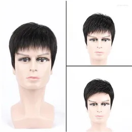 Wig Male Short Hair Human Natural Fashion Non-Remy Fleeciness Realistic Black Toupee Wigs