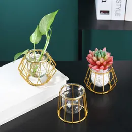 Planters Pots Nordic Simple Golden Glass Hydroponic Plant Flower Pot Geometric Glass Test Tube Metal Plant Holder Modern Home Decor