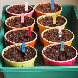 Getrocknete Blumen 100 Stück Pflanzenetiketten Garten Blumentöpfe Marker Kunststoffanhänger Pfähle Kindergarten Sämling Tablett DIY Heimdekoration Werkzeuge