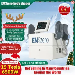 2024 New 14 Tesla RF 수직 슬림 2 in 1 dls-emslim plus 롤러 장비 지방 분해 근육 부스터 피트니스 2/4/5/핸들 Neo DLS-Emsculpting