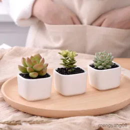 Planters Pots Flower Pot Mini Simple White Creative Desktop Flowerpot Succulent Ceramic Rounded Corners Square Potted Flower Pot Office Decor R230621