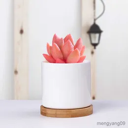 Fioriere Vasi Semplice vaso di fiori succulenti in ceramica bianca Soggiorno creativo Ufficio Circolare Cactus Pianta verde Piccoli vasi di fiori R230621 all'ingrosso