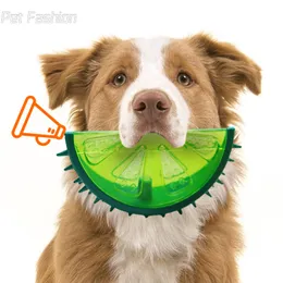 Pet Cooling Chew Toy Reusable Dog Cooling Toy Teething Ring Cooling Dog Toy Durable Summer Dog Ice Toy Frozen Fruit Shape Toy