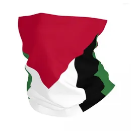 Банданас Палестин Флаг Бандана Гейтер для лыжных беговых мужчин.