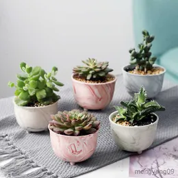 Planters Pots Marbling More Meat Flower Pot Succulents Fleshy Cactus Ceramic Flowerpot Small Home/Garden/Office Decoration Pots Flower R230621